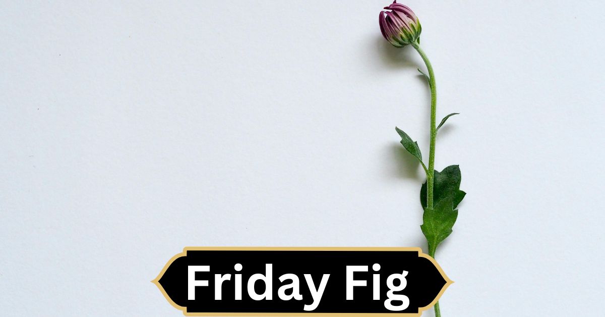 Friday Fig – A Healthier Choice in Cuisine!