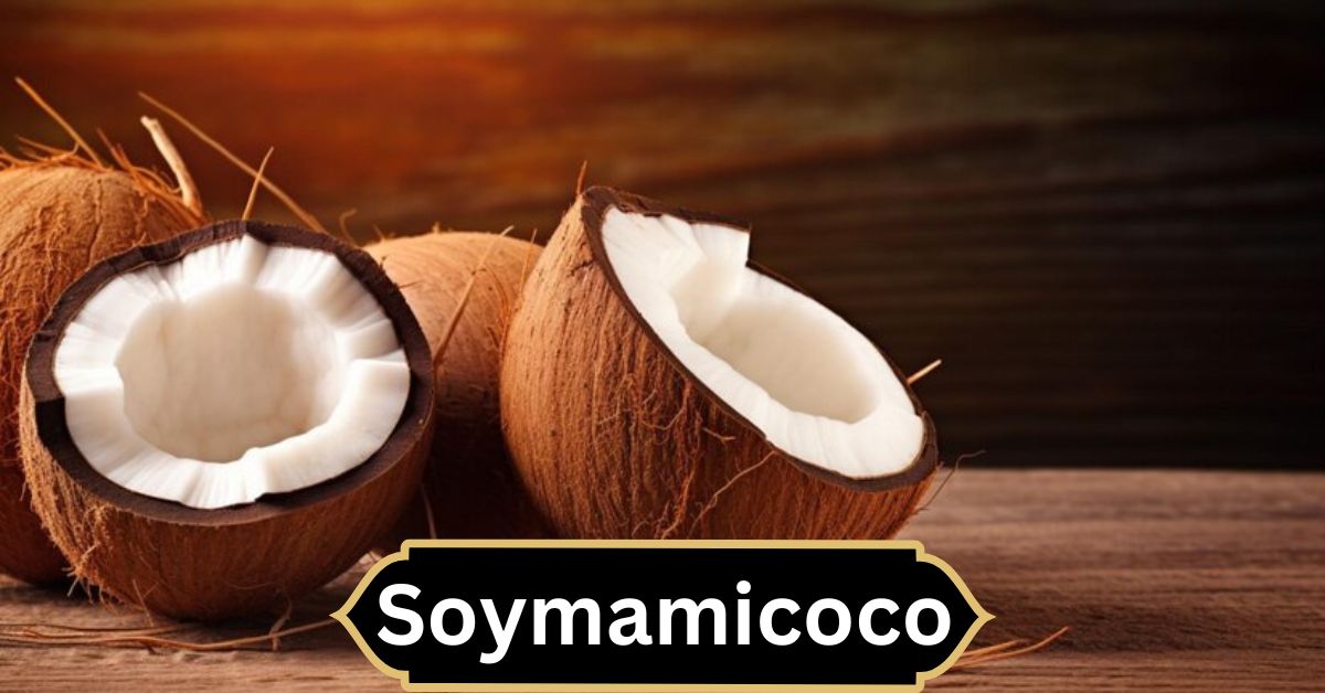 Soymamicoco