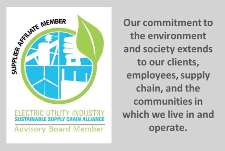 Commitment to Sustainability and Environmental Responsibility: