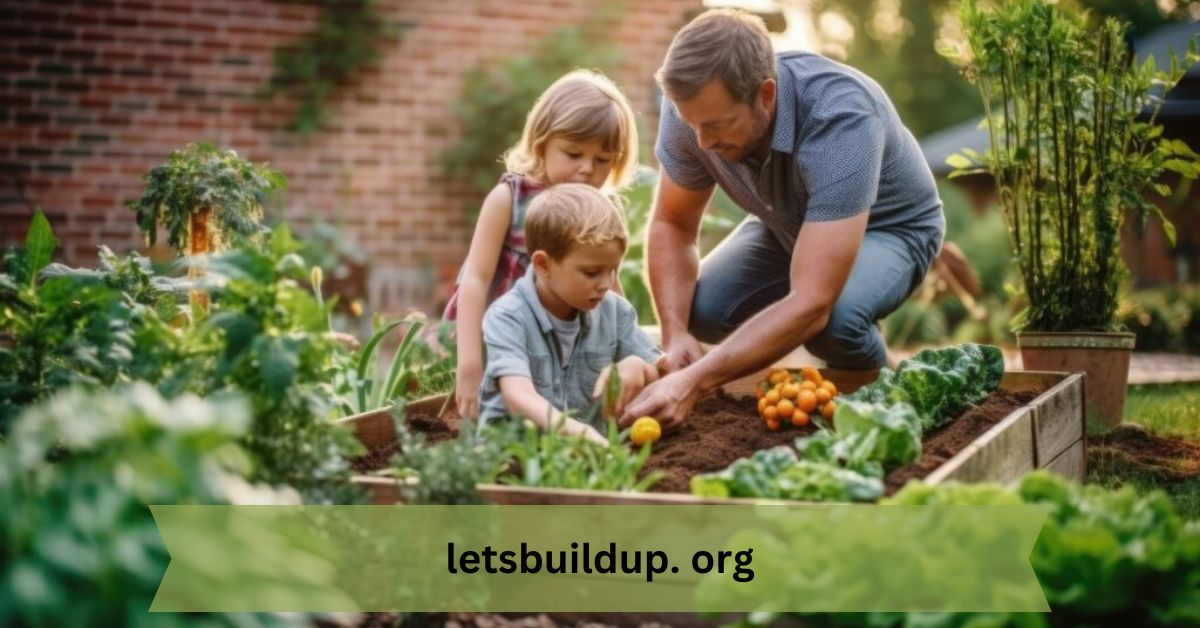 letsbuildup. org