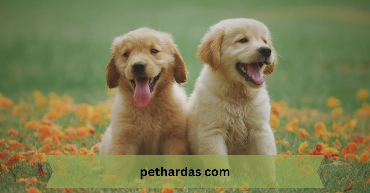 Pethardas com – The Ultimate Guide for Pet Lovers