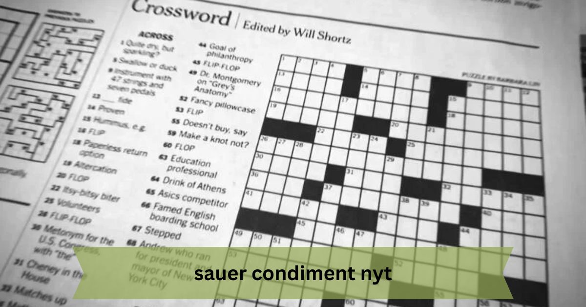 sauer condiment nyt