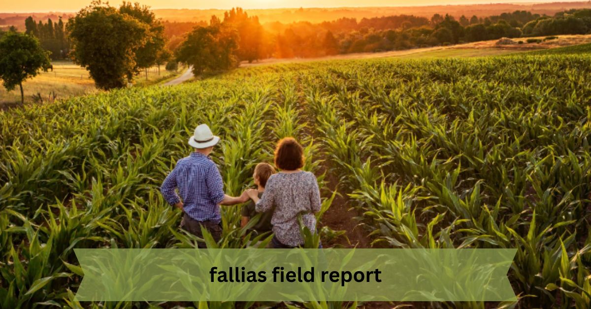 fallias-field-report